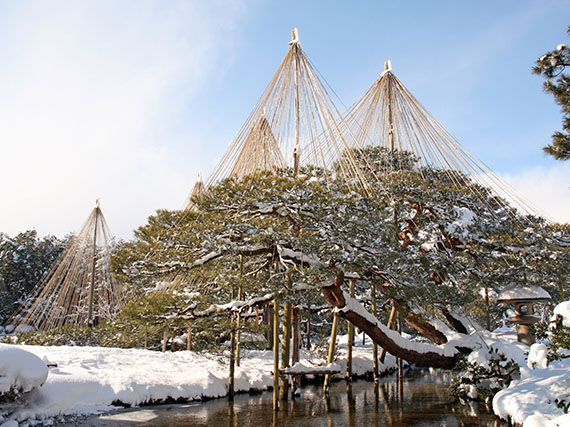 Proteger las plantas en invierno al estilo japons